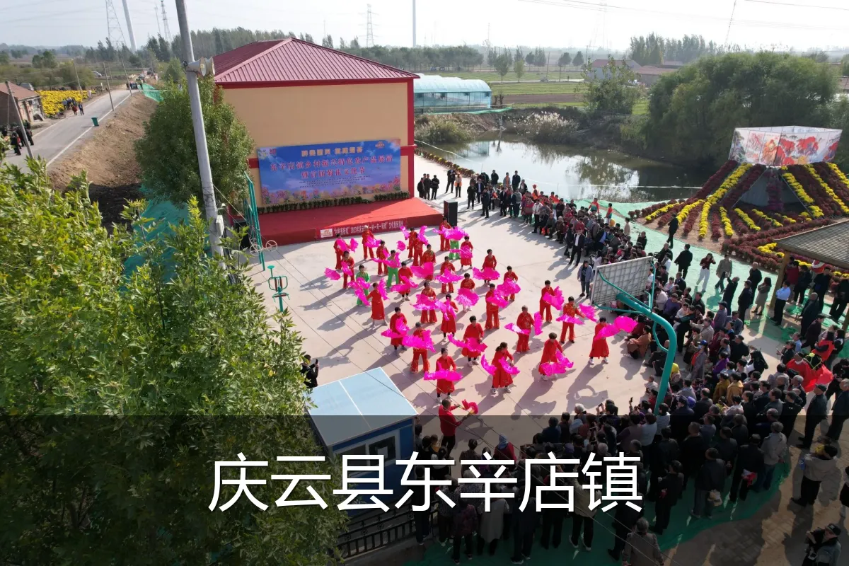 庆云县东辛店镇