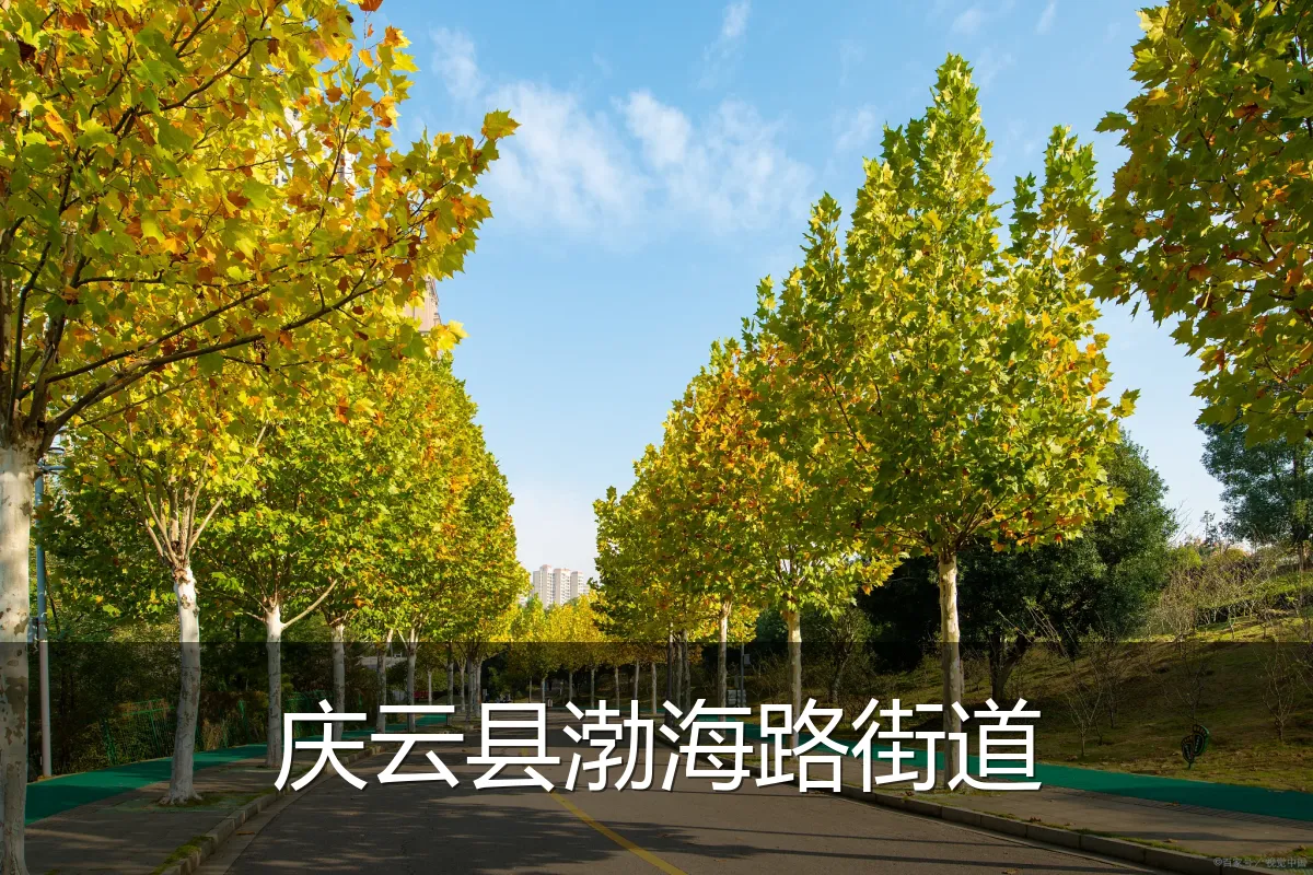 庆云县渤海路街道