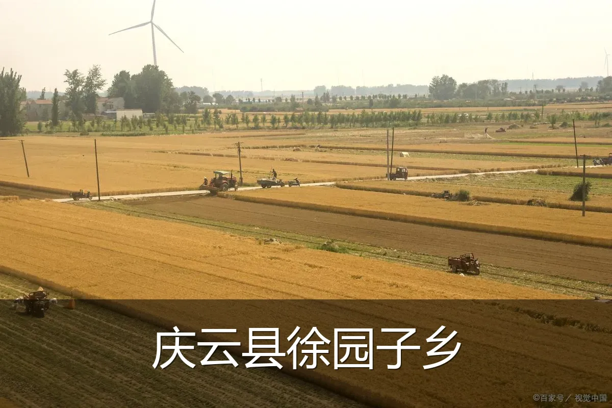 庆云县徐园子乡